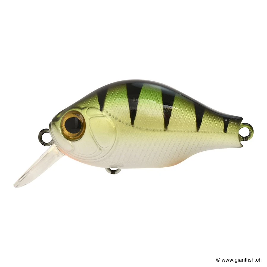 Shiny Perch UV