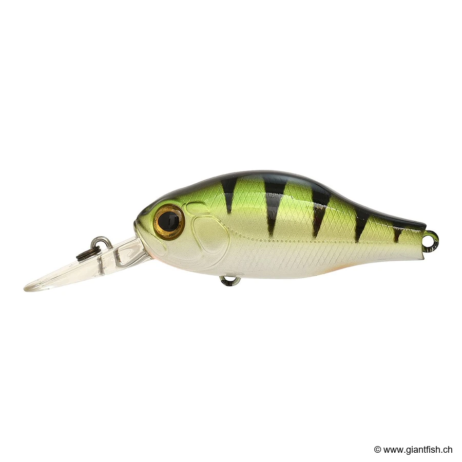 Shiny Perch UV