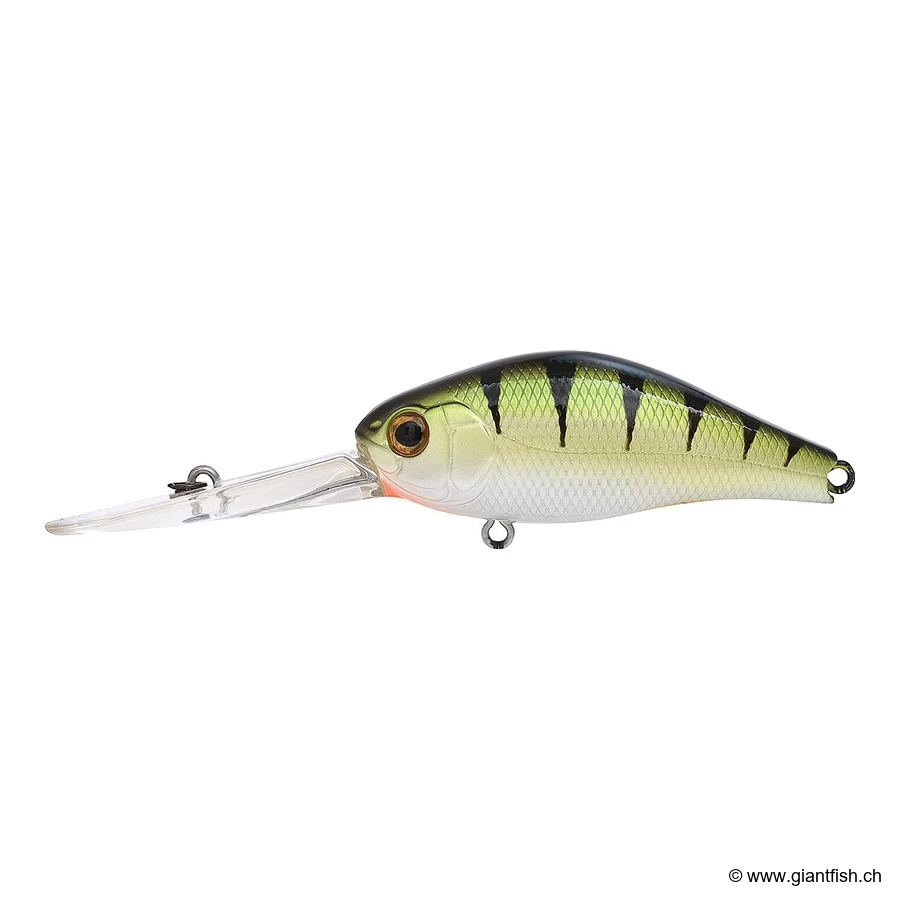 U015 Shiny Perch UV