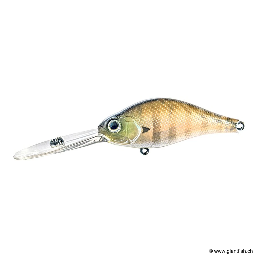 082 Ghost Gill