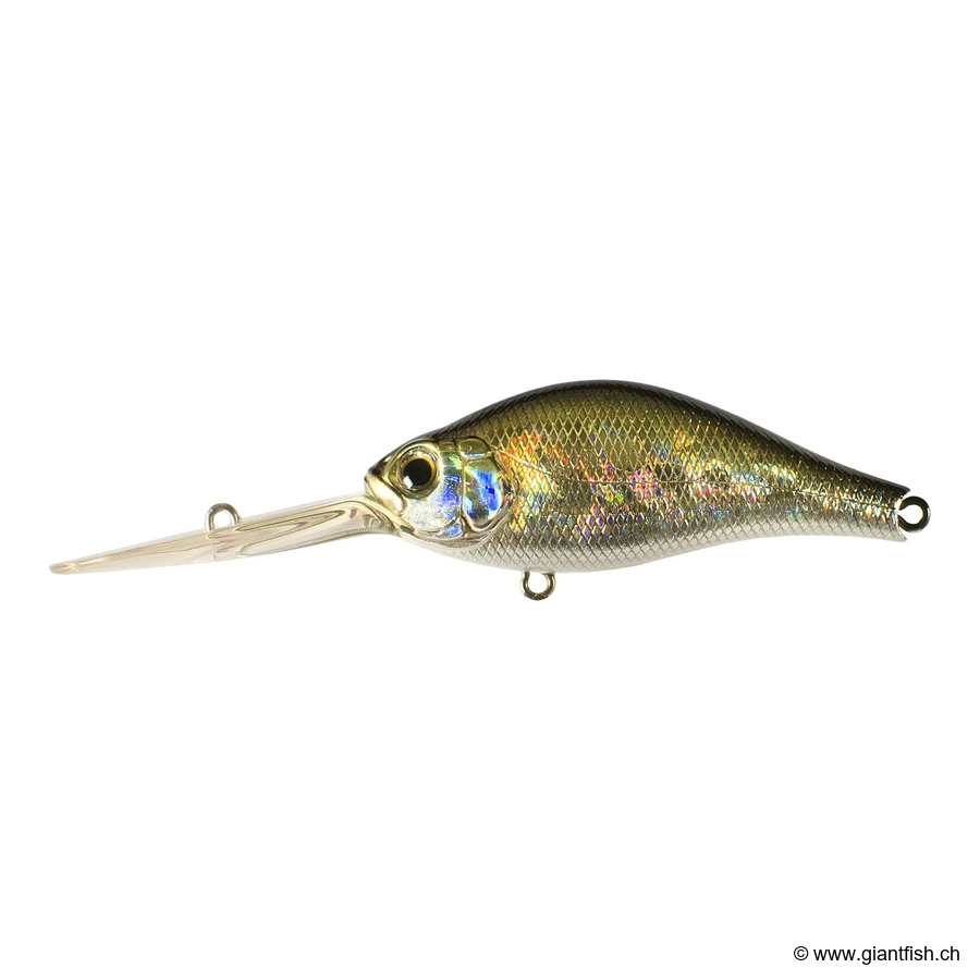 510 Silver Shad