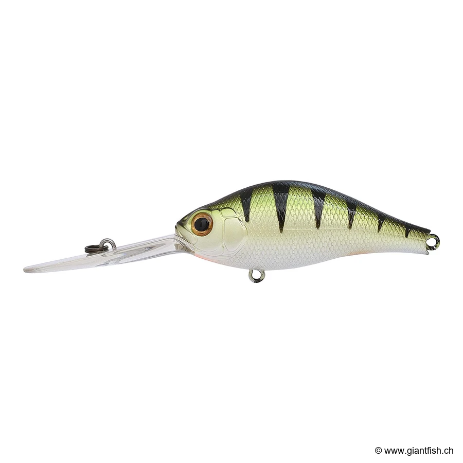 Shiny Perch UV