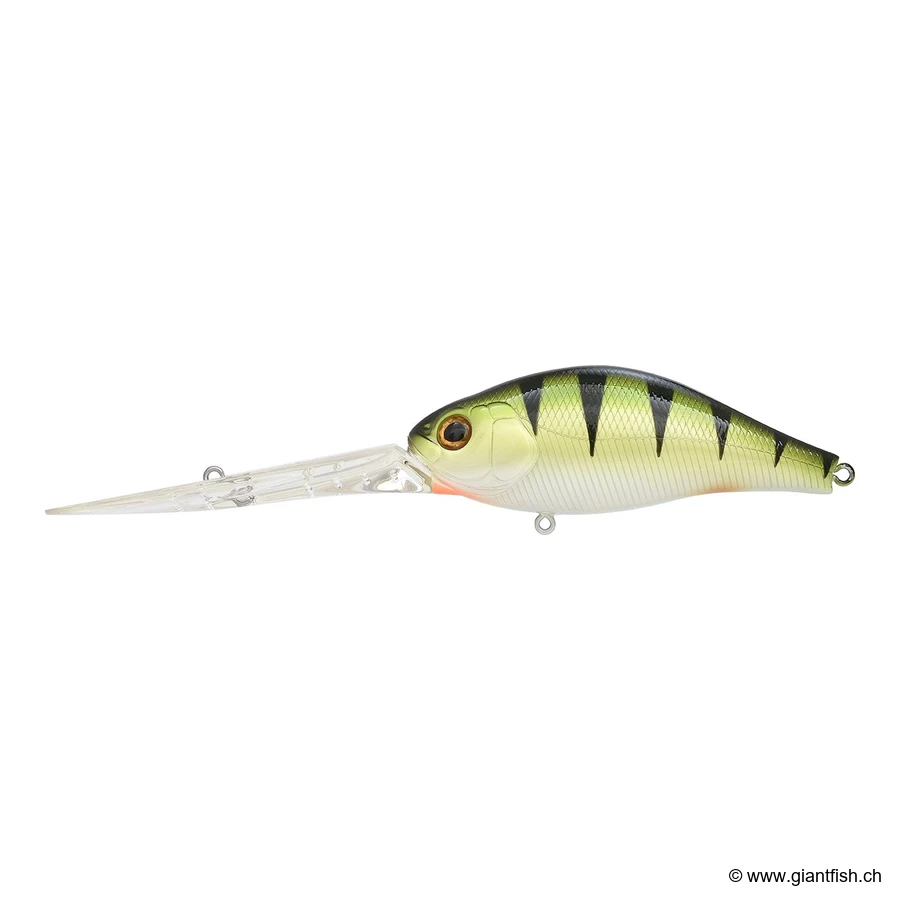 U015 Shiny Perch UV