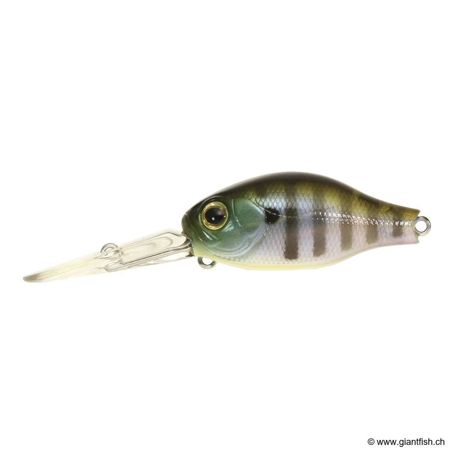 082 Ghost Gill