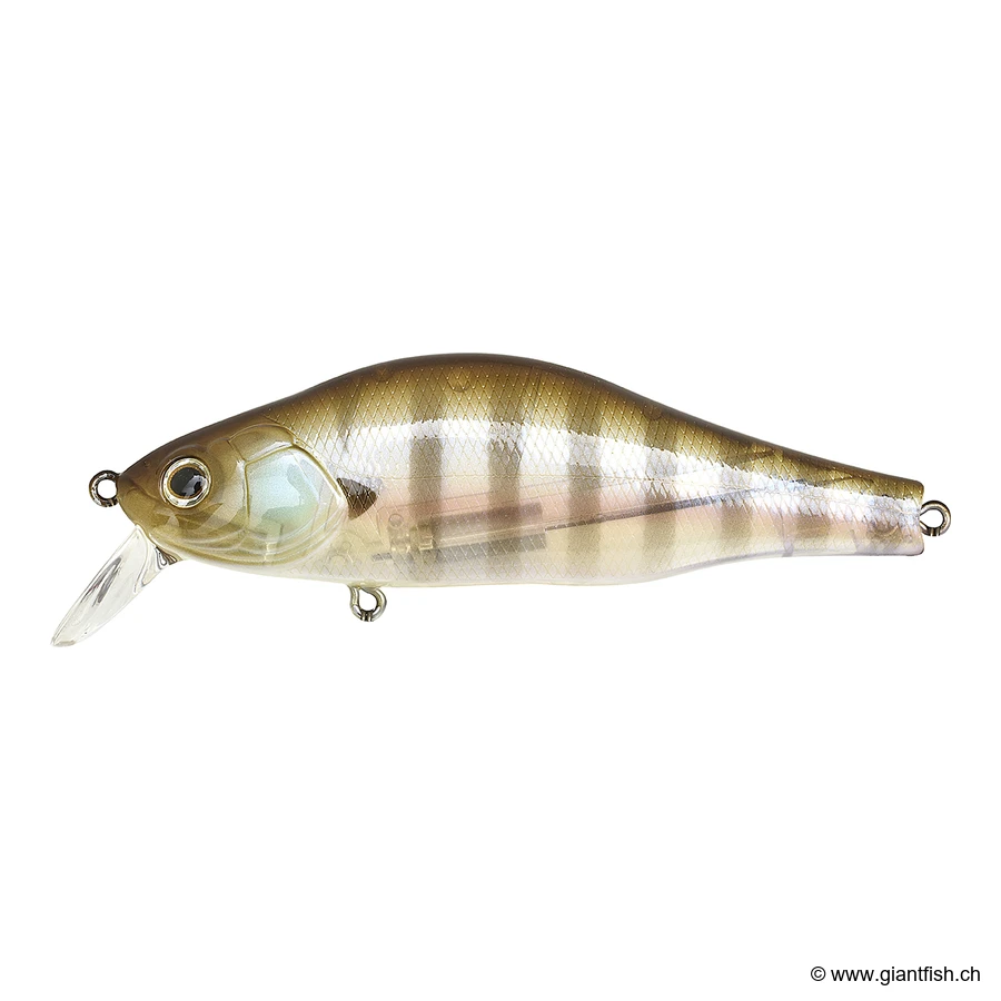 SR 082 Ghost Gill