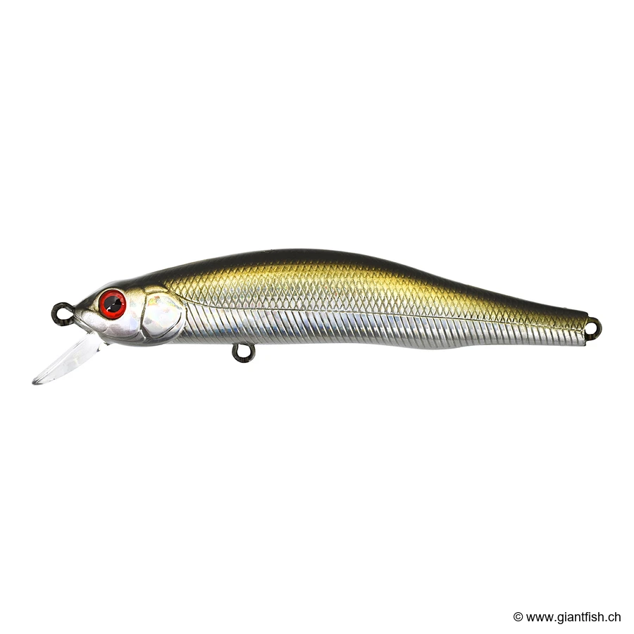 510 Silver Shad