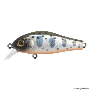 ZIP Baits RIGGE 43F