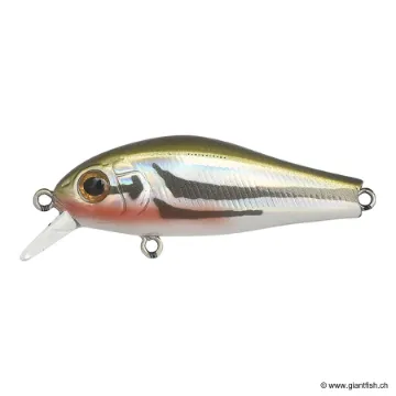 ZIP Baits RIGGE 43F