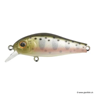 ZIP Baits RIGGE 43F