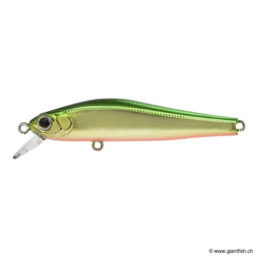 ZIP Baits RIGGE 56F