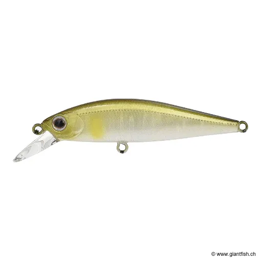 ZIP Baits RIGGE FL 50S