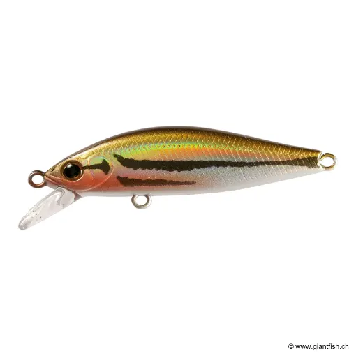 ZIP Baits RIGGE FL 60S