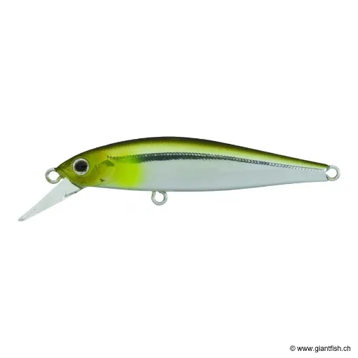 ZIP Baits RIGGE FL 60S