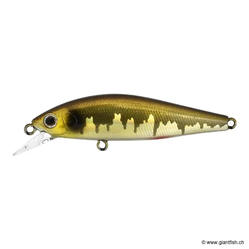 ZIP Baits RIGGE FL 60S