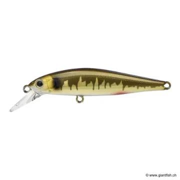 ZIP Baits RIGGE FL 70S