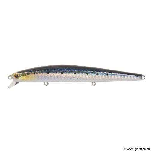 ZBL SYSTEM MINNOW 123F 718 HOLO IWASHI