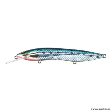 SORCERER 125 H50 PILCHARD