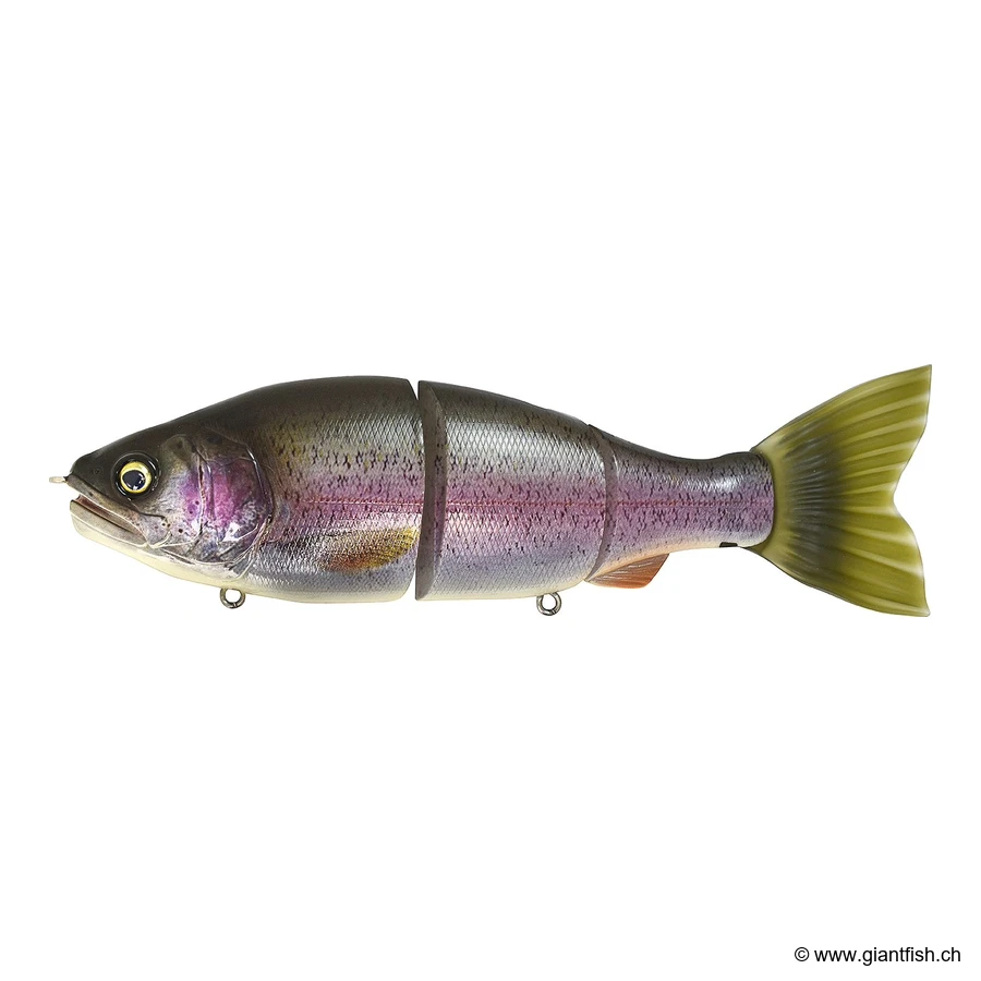 Real Rainbow Trout