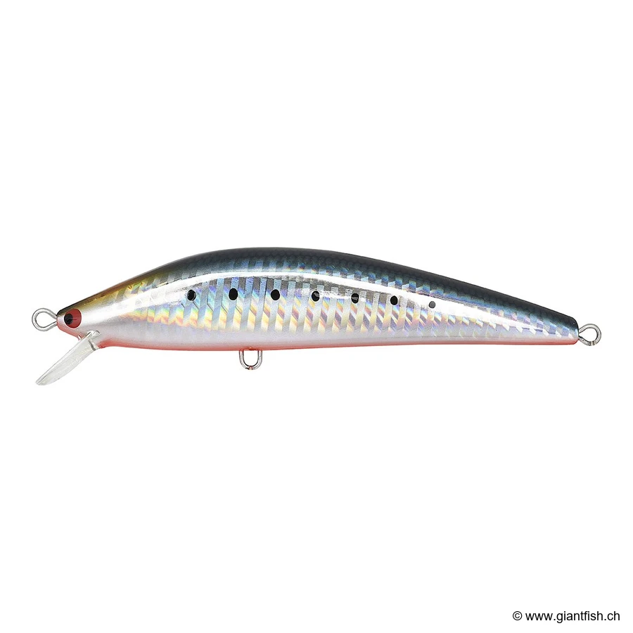 112 Sardine Red Belly