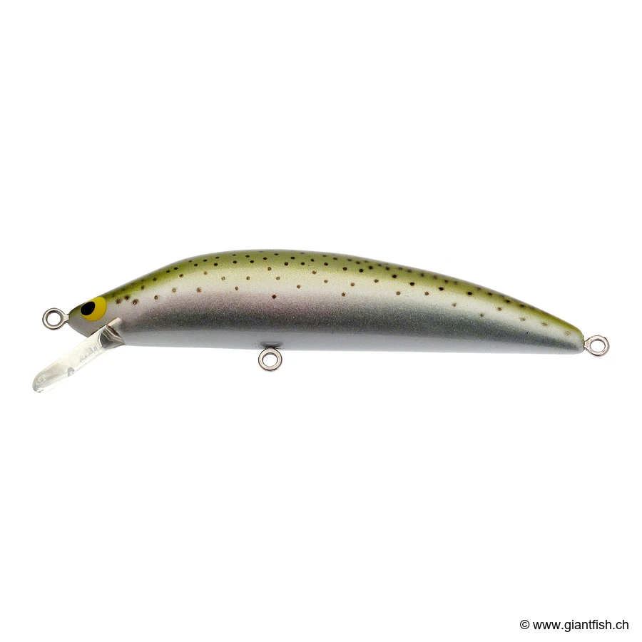 UC1 Rainbow Trout