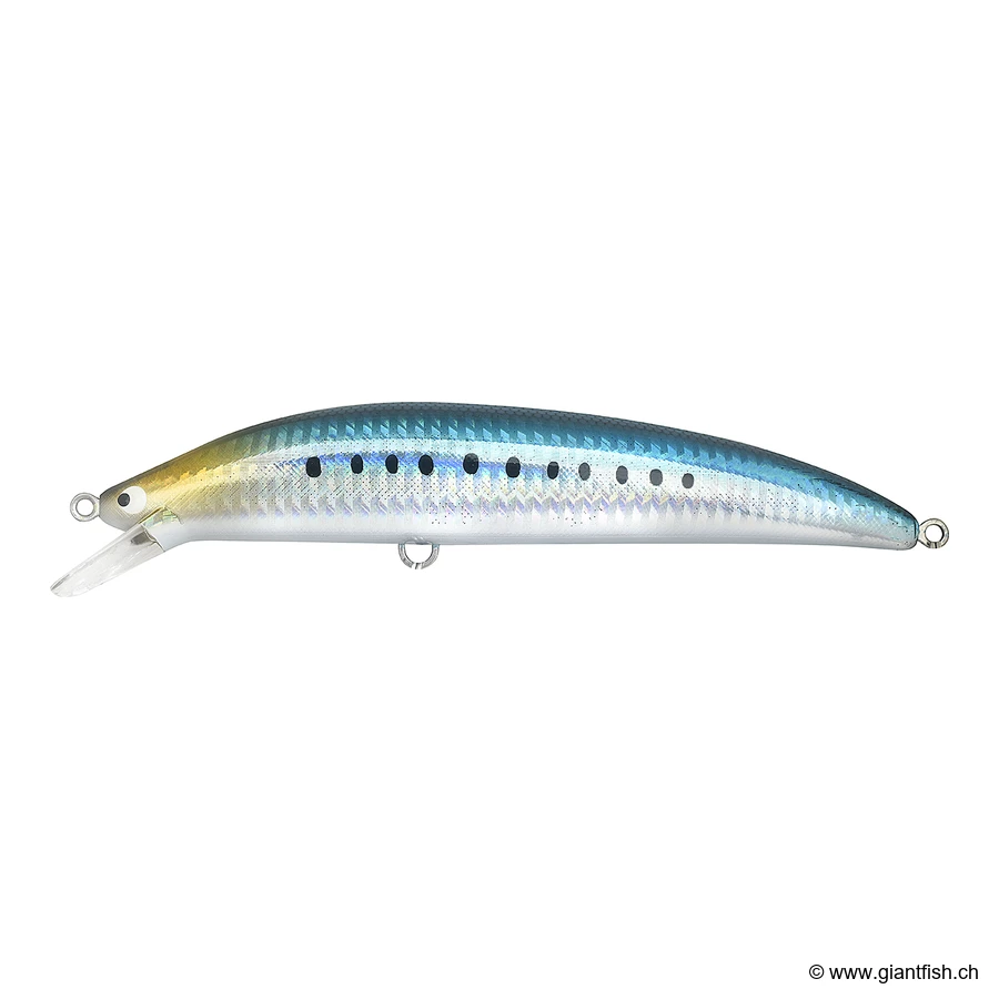 111 Sardine