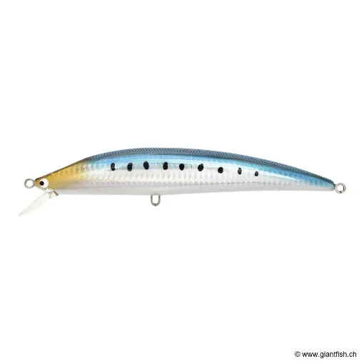 Tackle House K TEN BLUE OCEAN S [BKS] 175