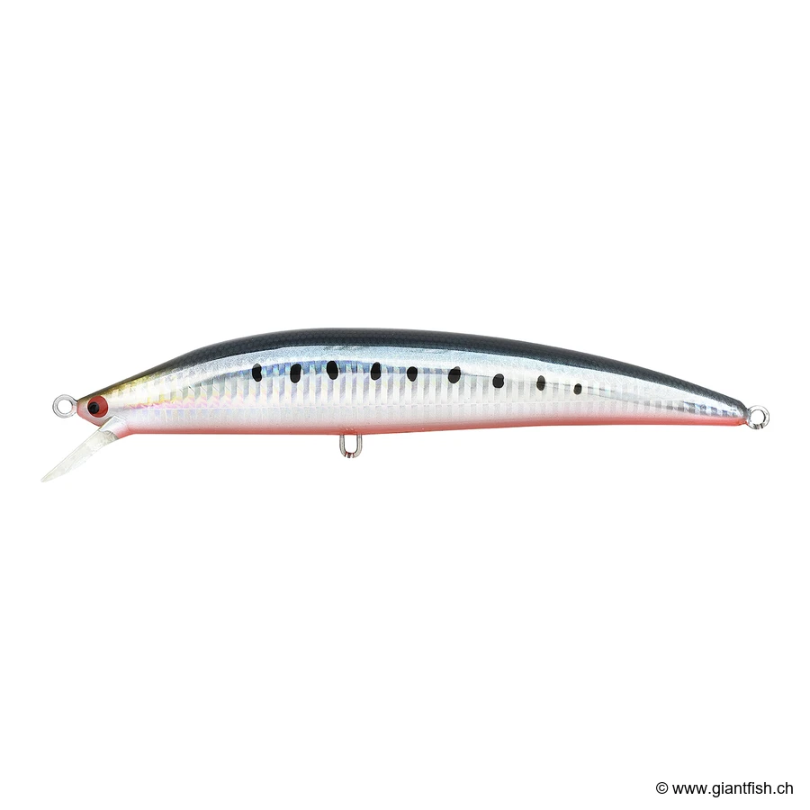 112 Sardine Red Belly