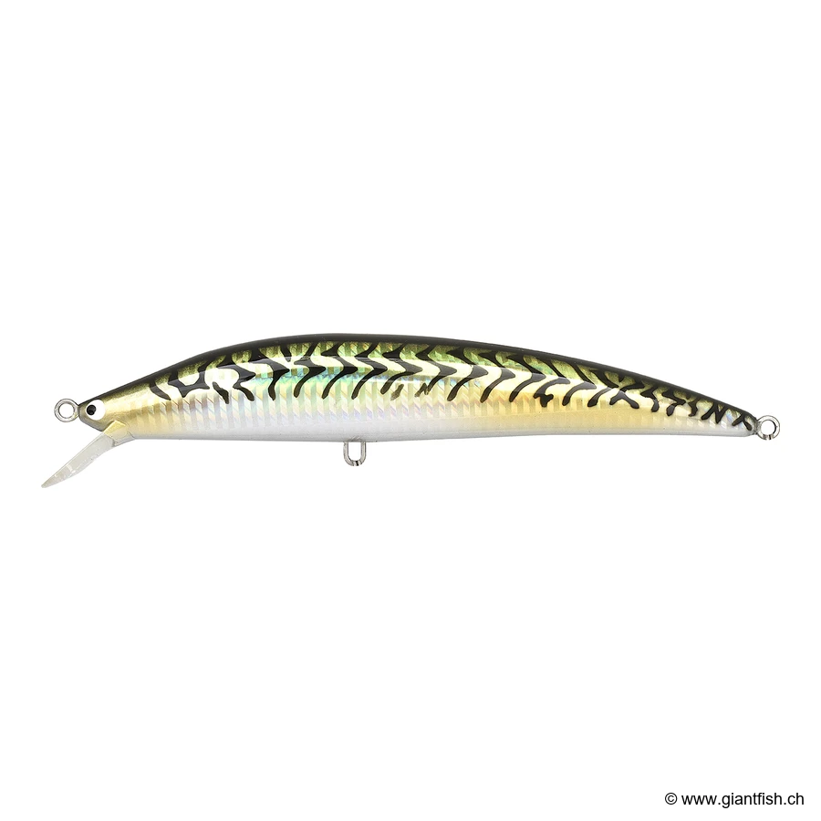 Mackerel