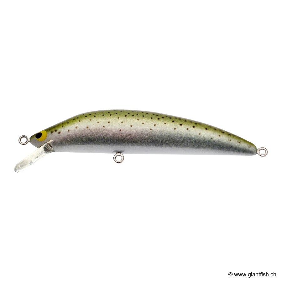 Uec1 Rainbow Trout