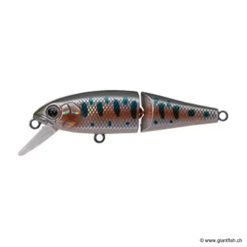 Tackle House BUFFET JOINTED 51S