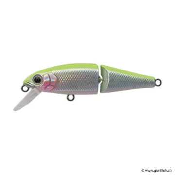 Tackle House BUFFET JOINTED 51S