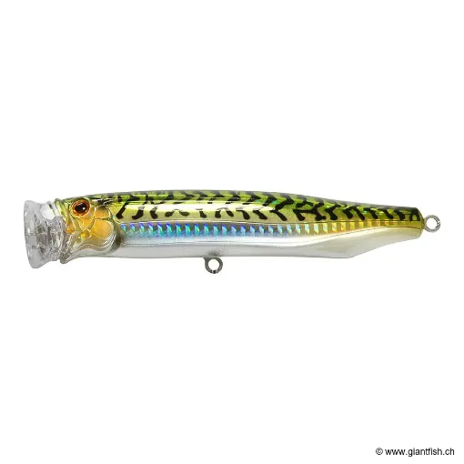 Tackle House FEED POPPER 100