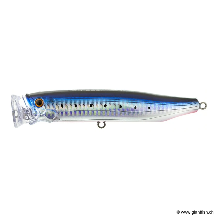 8 Sardine