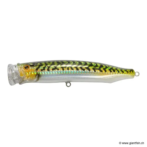 Tackle House FEED POPPER 150