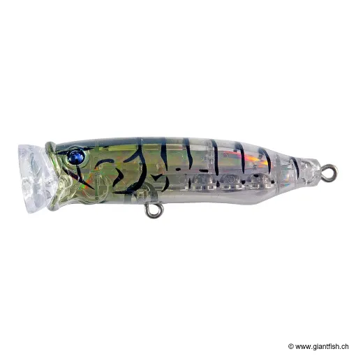 Tackle House FEED POPPER 70