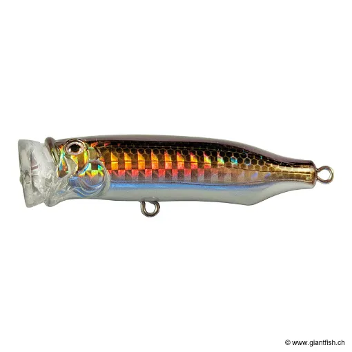 Tackle House FEED POPPER 70