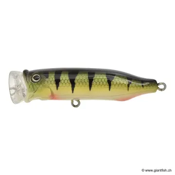 Tackle House FEED POPPER 70