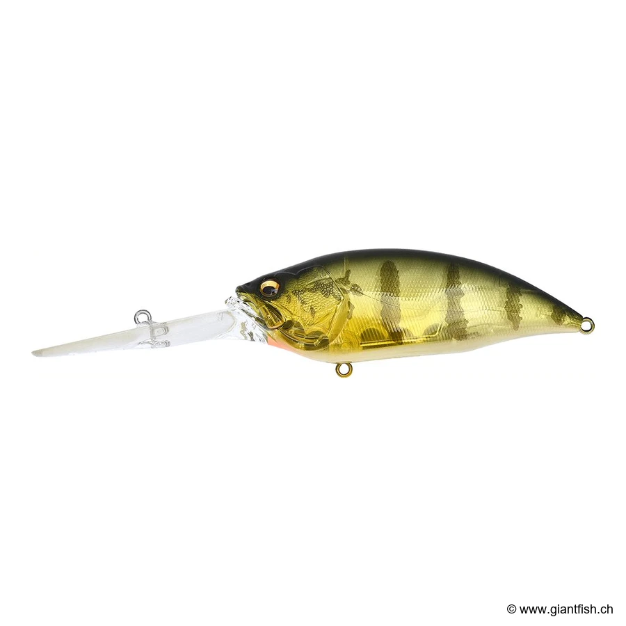 G Gp Pro Perch