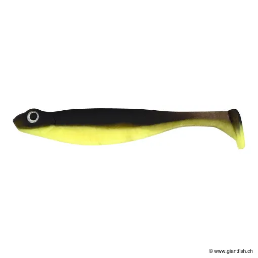 Megabass HAZEDONG SHAD 3