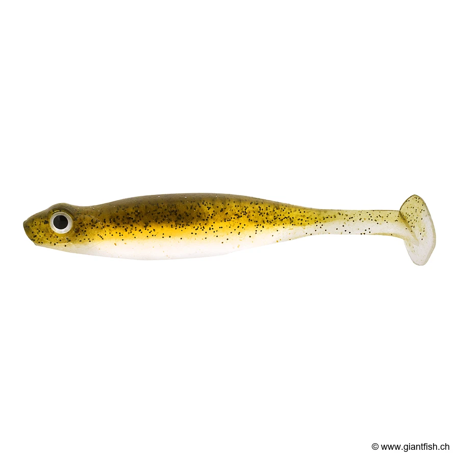 Green Pumpkin Shad