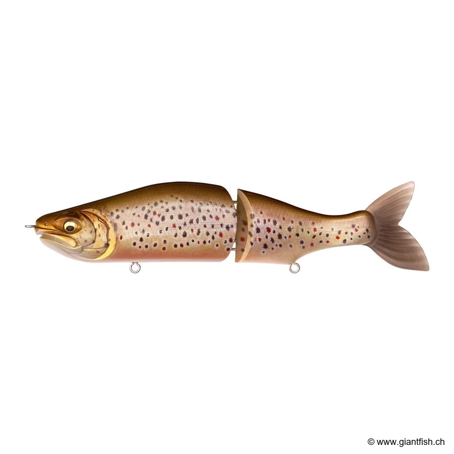 Fa Brown Trout