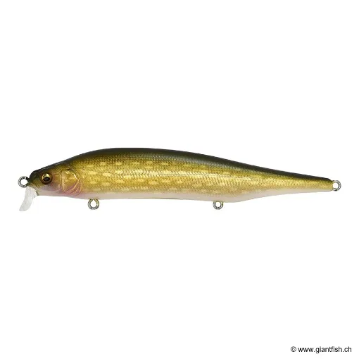 Megabass ITO SHINER SSR