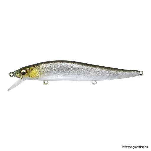 Megabass VISION 110 FW