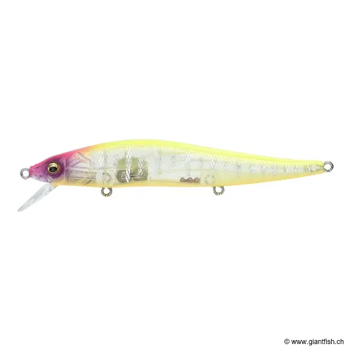 Megabass VISION 110 FW