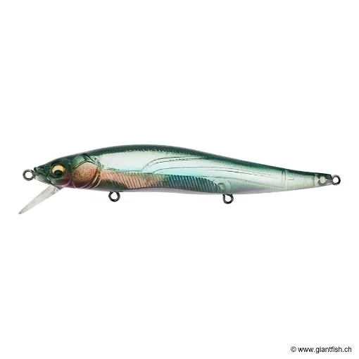 Megabass VISION 110 FW