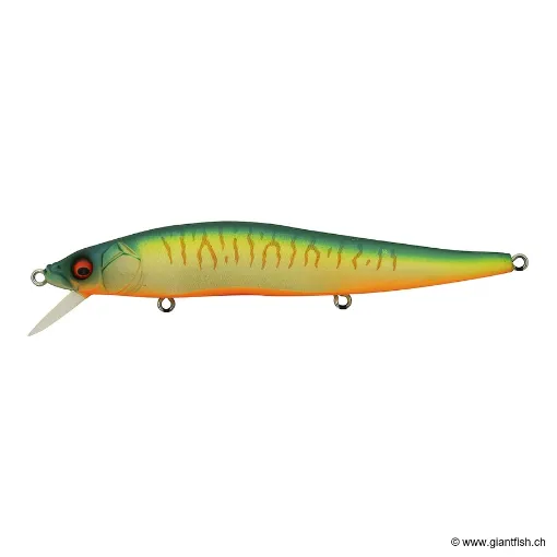 Megabass VISION 110 FW