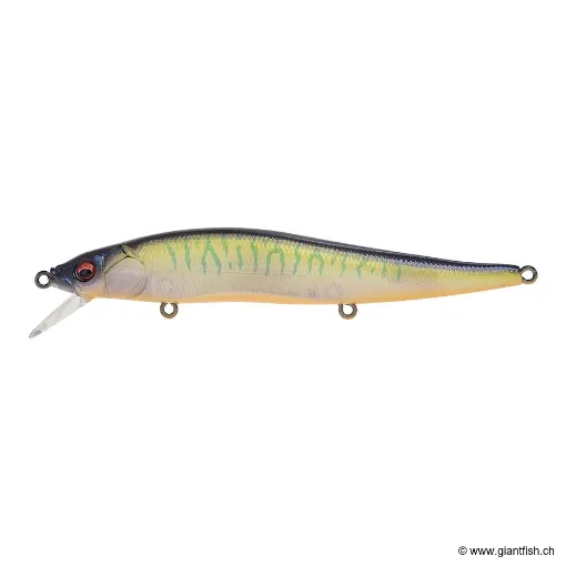 Megabass VISION 110 FW