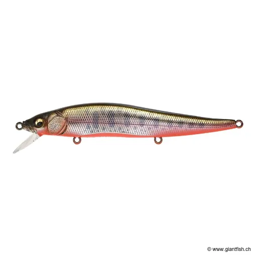 Megabass VISION 110 FW