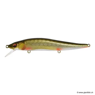 Megabass VISION 110 FW SUSPENDING