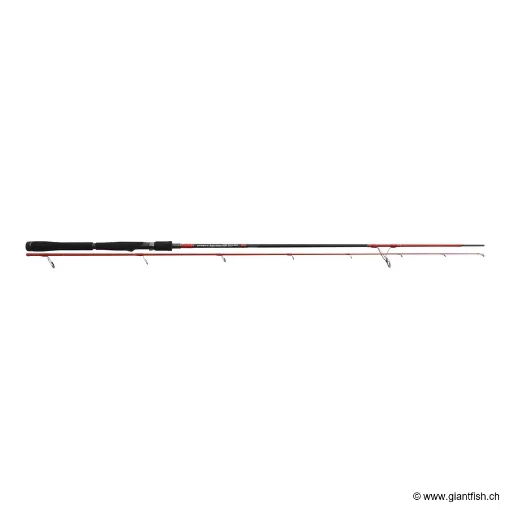 INJECTION SP 80 M 2ES MINNOW